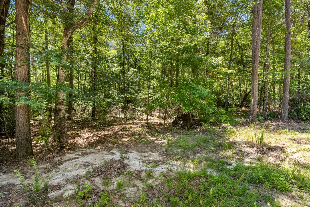 0 Pine Mountain Road Tamassee, SC 29686 - Photo 4 of 15