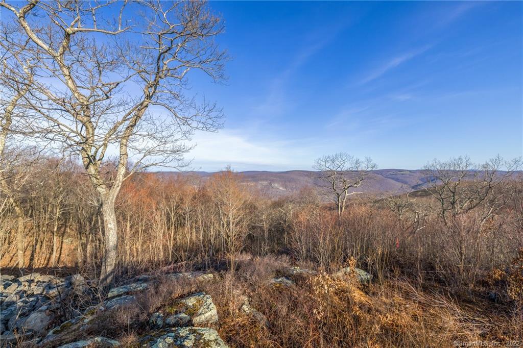 201 Kenmont Road Kent, CT 06757 - Photo 1 of 1 This could be your view...
