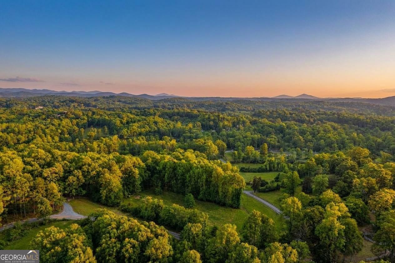 362 Horton Road Dahlonega, GA 30533 - Photo 2 of 57 a view of a lush green field with mountains in the background