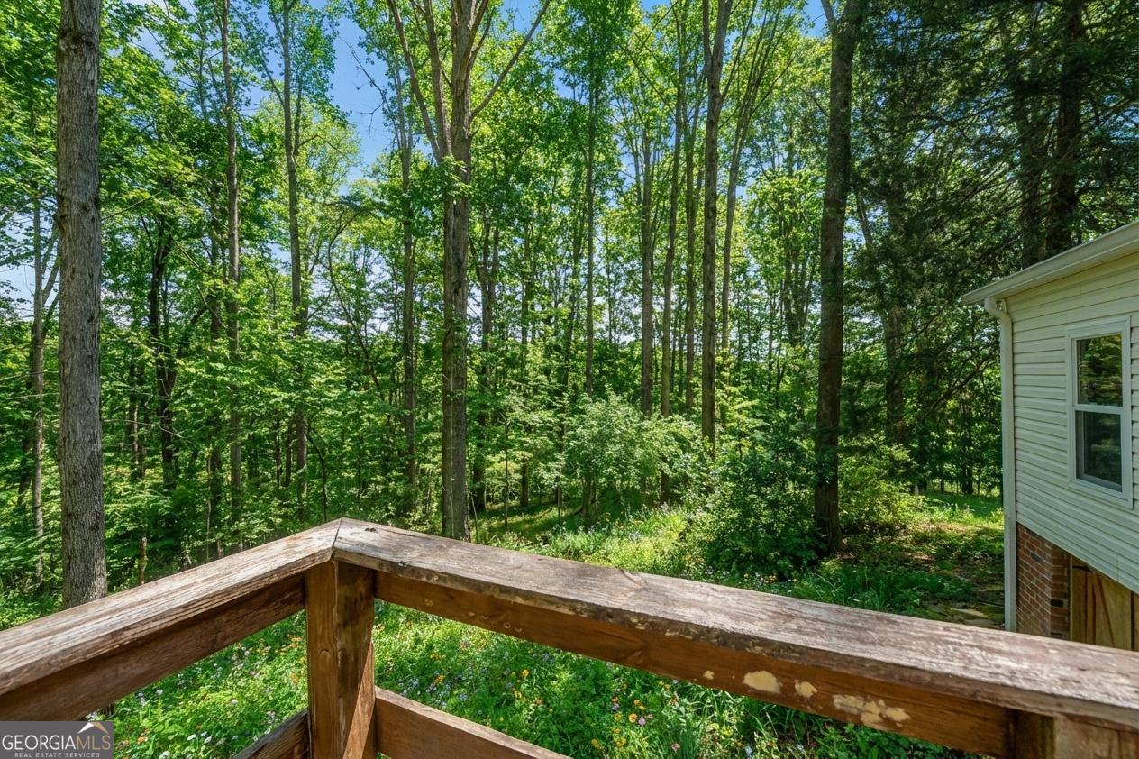 362 Horton Road Dahlonega, GA 30533 - Photo 36 of 57