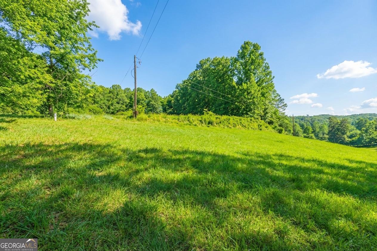 362 Horton Road Dahlonega, GA 30533 - Photo 42 of 57