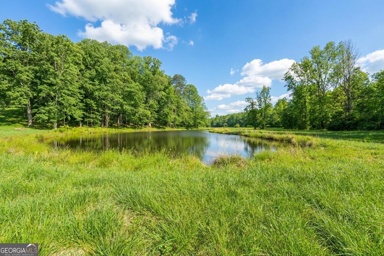 362 Horton Road Dahlonega, GA 30533 - Photo 43 of 57 a view of a lake with houses in the back
