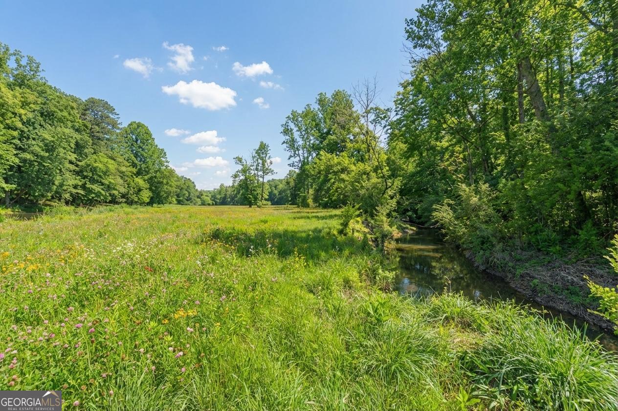 362 Horton Road Dahlonega, GA 30533 - Photo 44 of 57