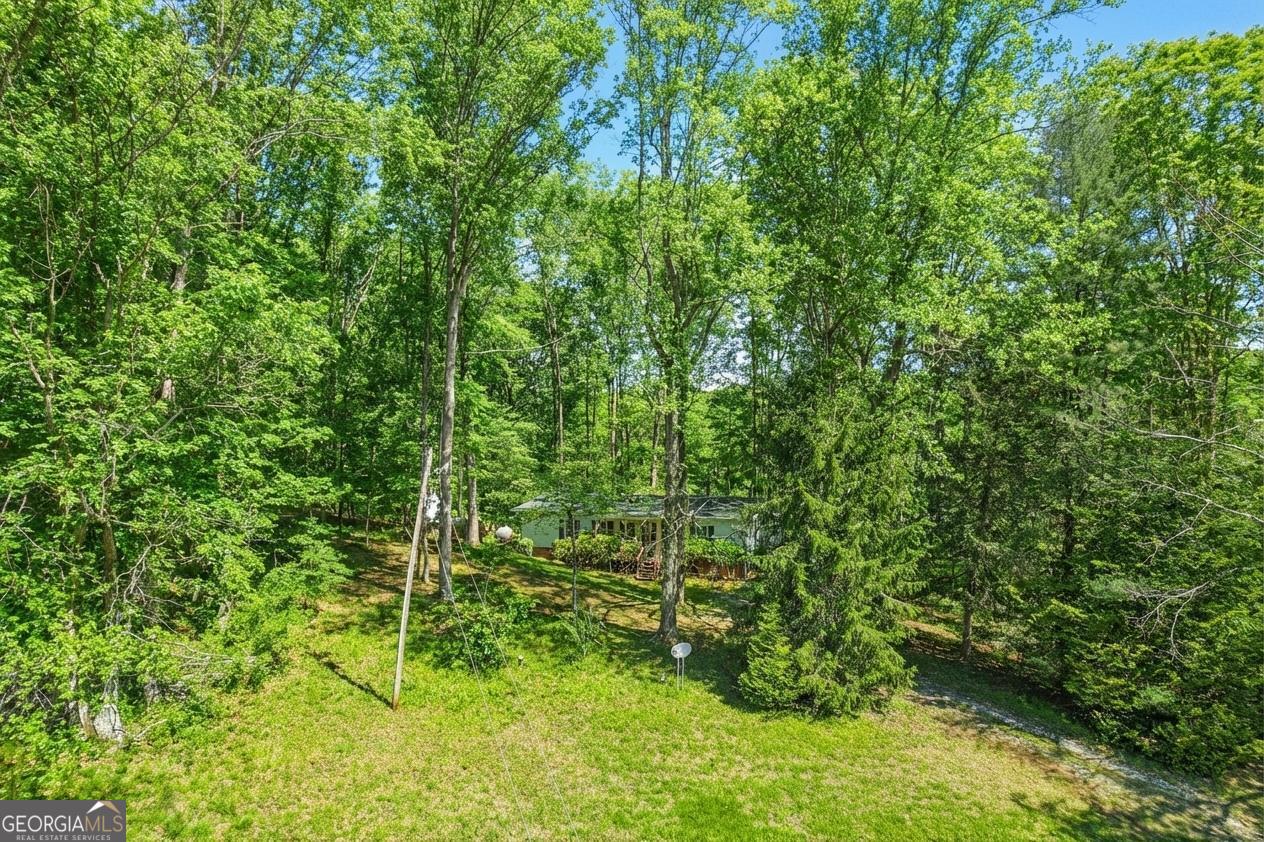 362 Horton Road Dahlonega, GA 30533 - Photo 46 of 57