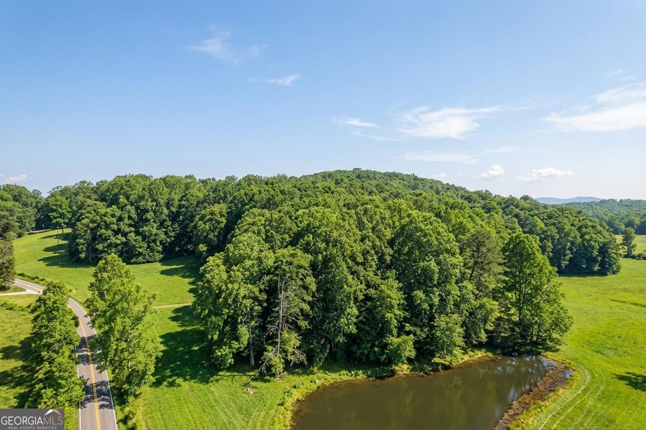 362 Horton Road Dahlonega, GA 30533 - Photo 47 of 57 a view of a lake with a yard