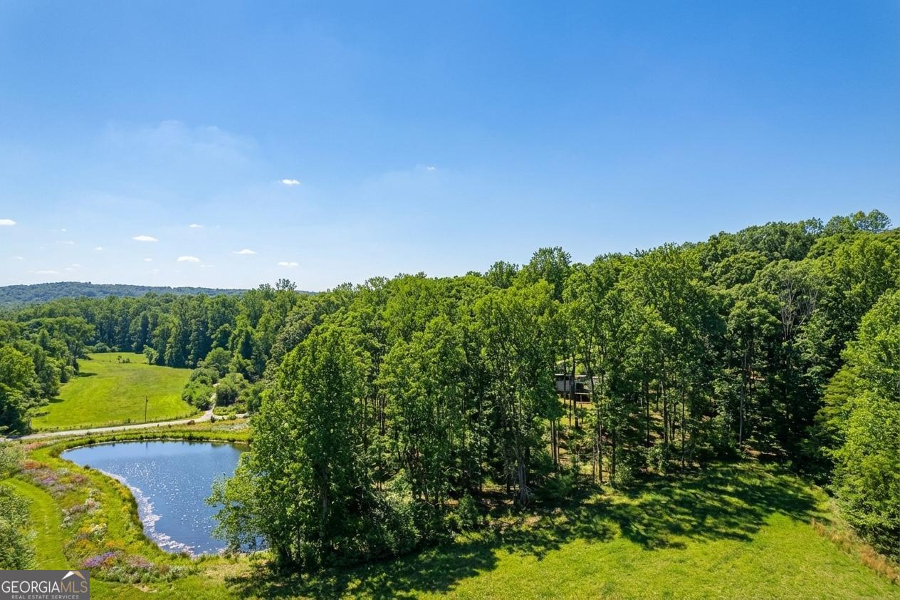 362 Horton Road Dahlonega, GA 30533 - Photo 48 of 57