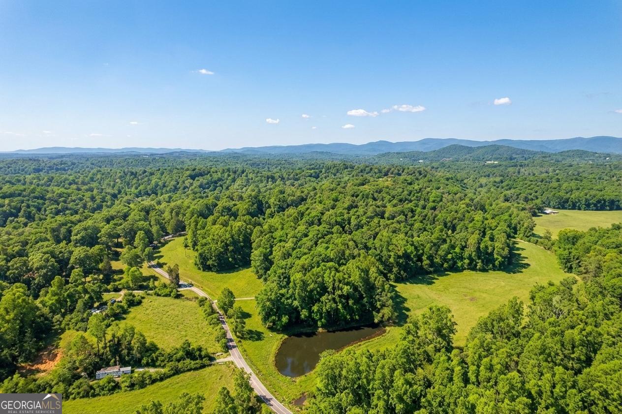362 Horton Road Dahlonega, GA 30533 - Photo 49 of 57 a view of a garden