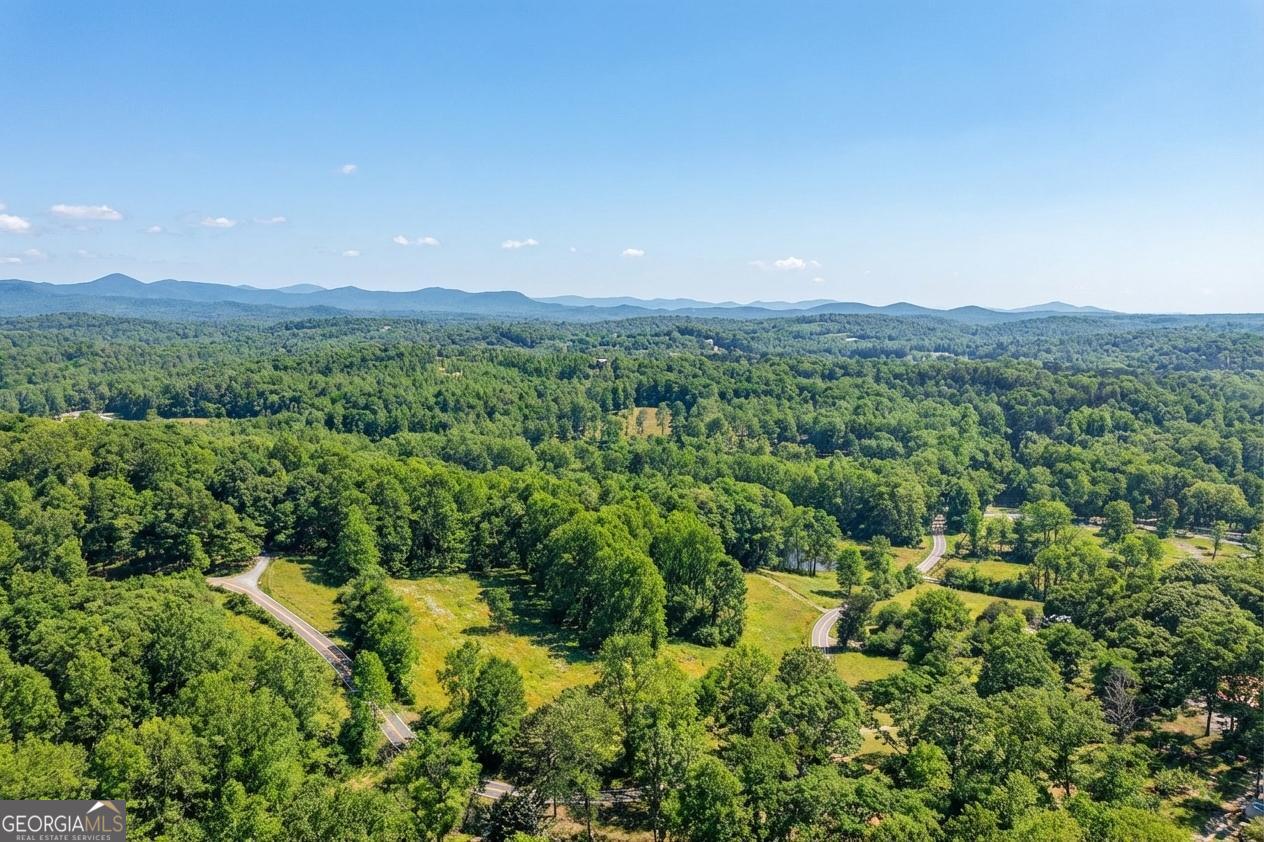 362 Horton Road Dahlonega, GA 30533 - Photo 52 of 57 a view of a lush green forest with trees and houses
