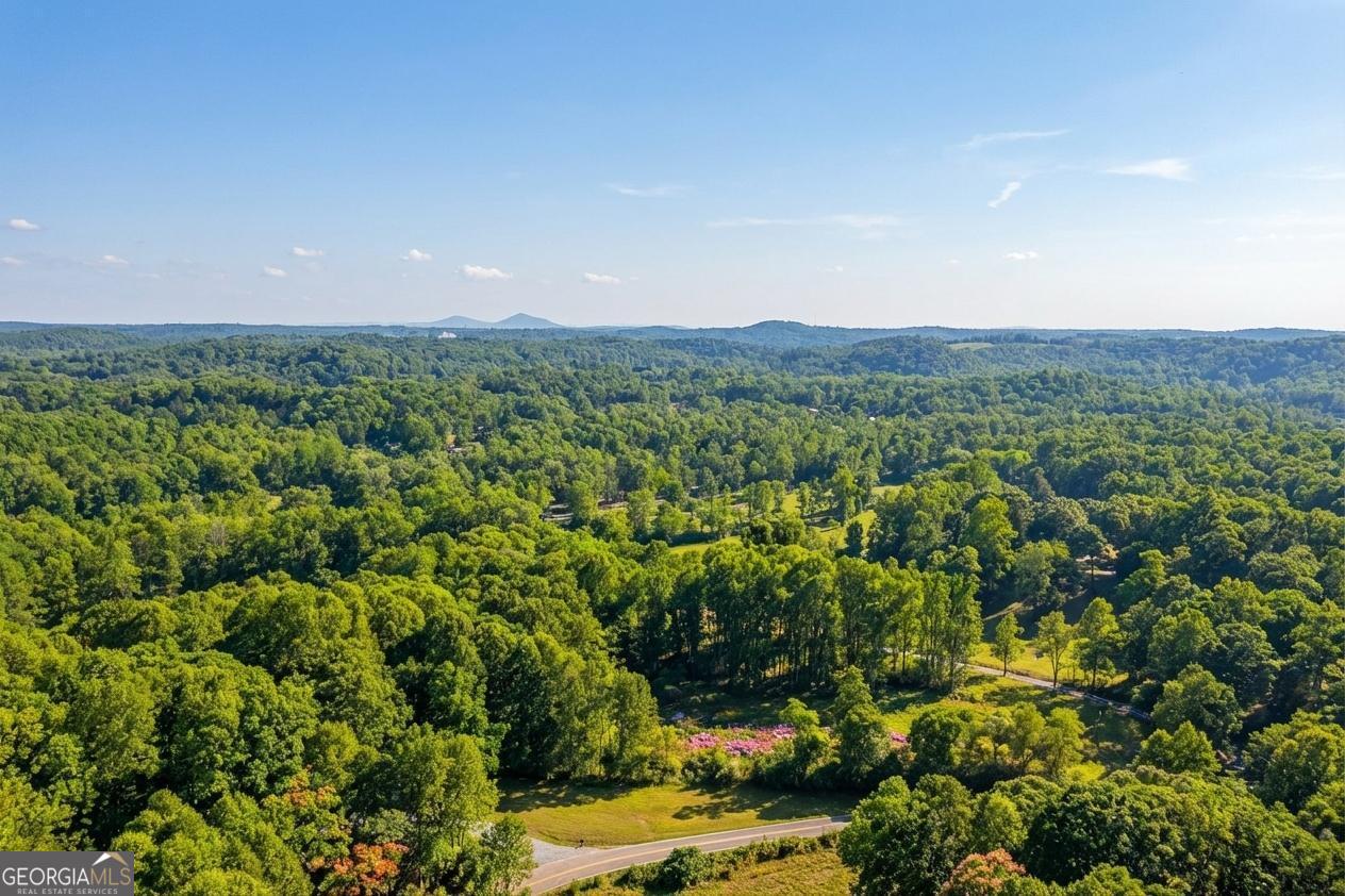 362 Horton Road Dahlonega, GA 30533 - Photo 54 of 57