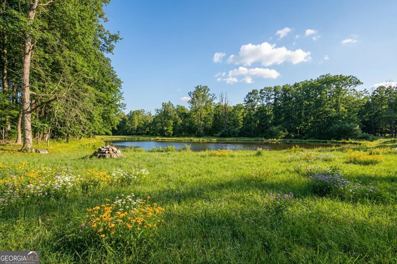 362 Horton Road Dahlonega, GA 30533 - Photo 6 of 57