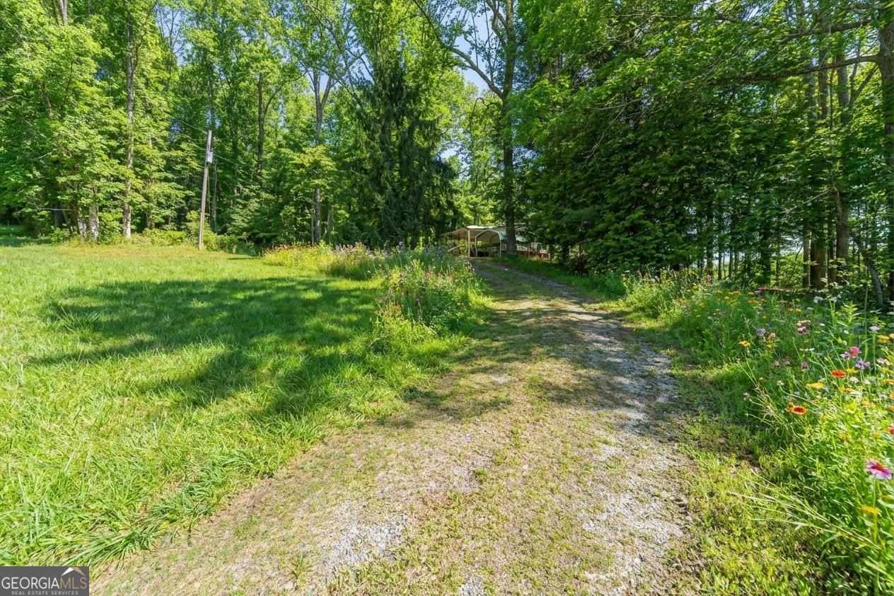 362 Horton Road Dahlonega, GA 30533 - Photo 7 of 57 a view of outdoor space and a lake view