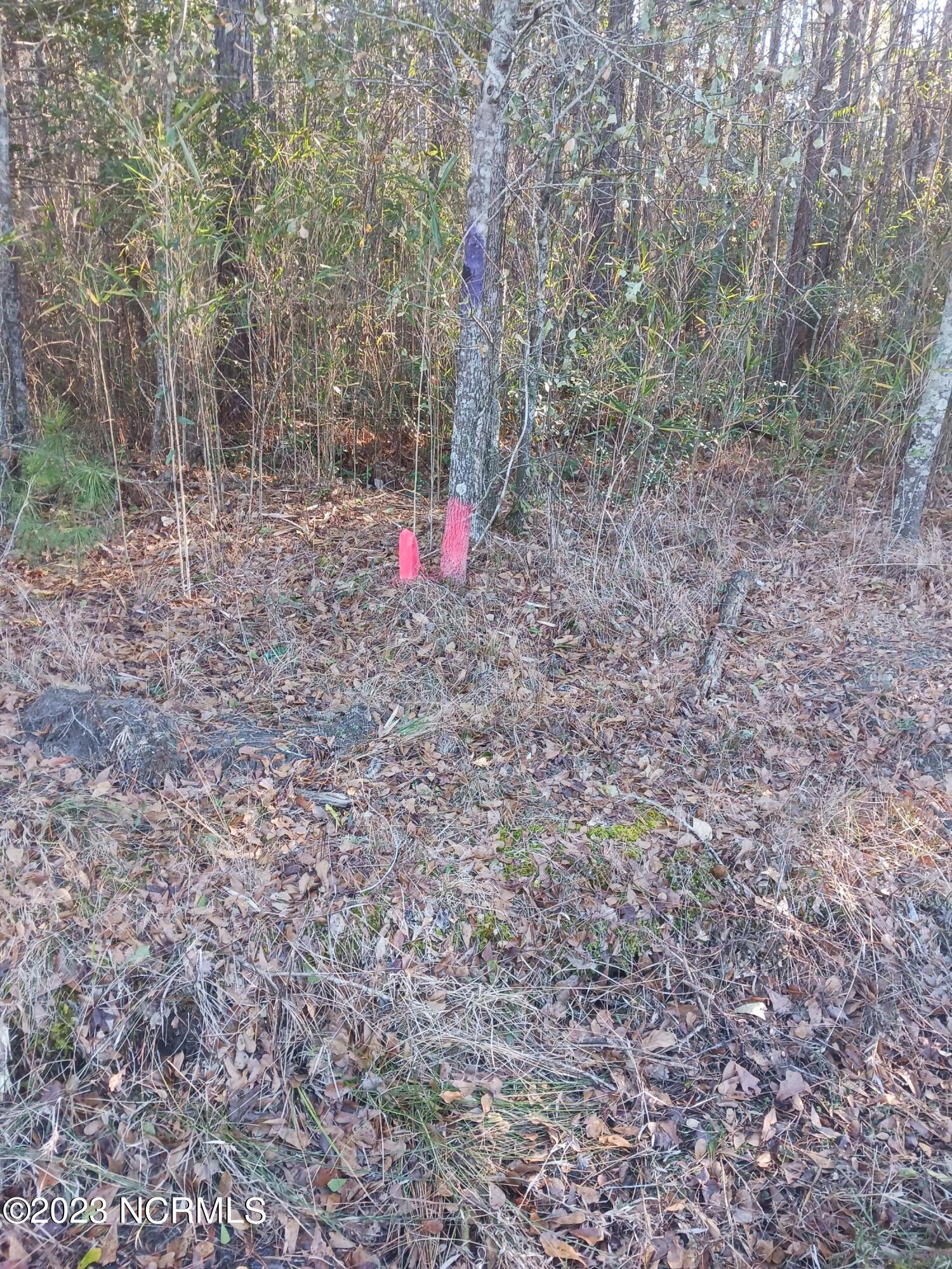 0 Scotts Store Road Grantsboro, NC 28529 - Photo 2 of 6 20221229_144007