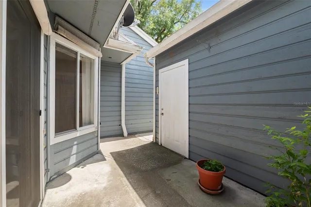 a view of a yard with plants and a large tree