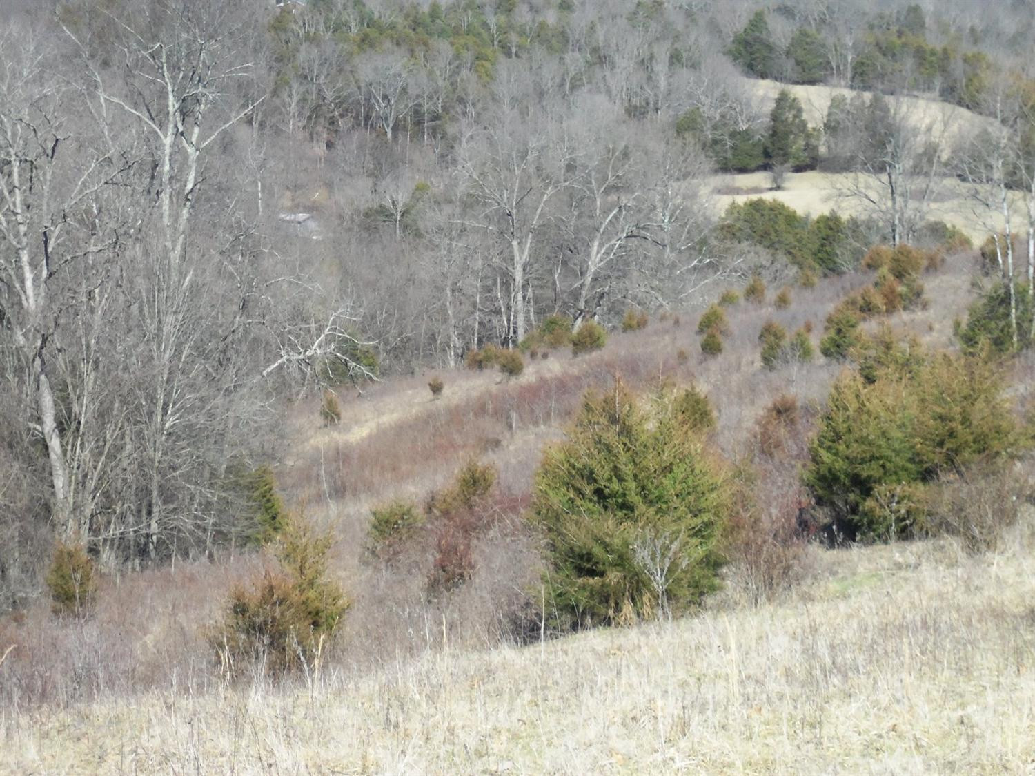 2486 Cedar Road Frankfort, KY 40601 - Photo 37 of 65 Photo 37