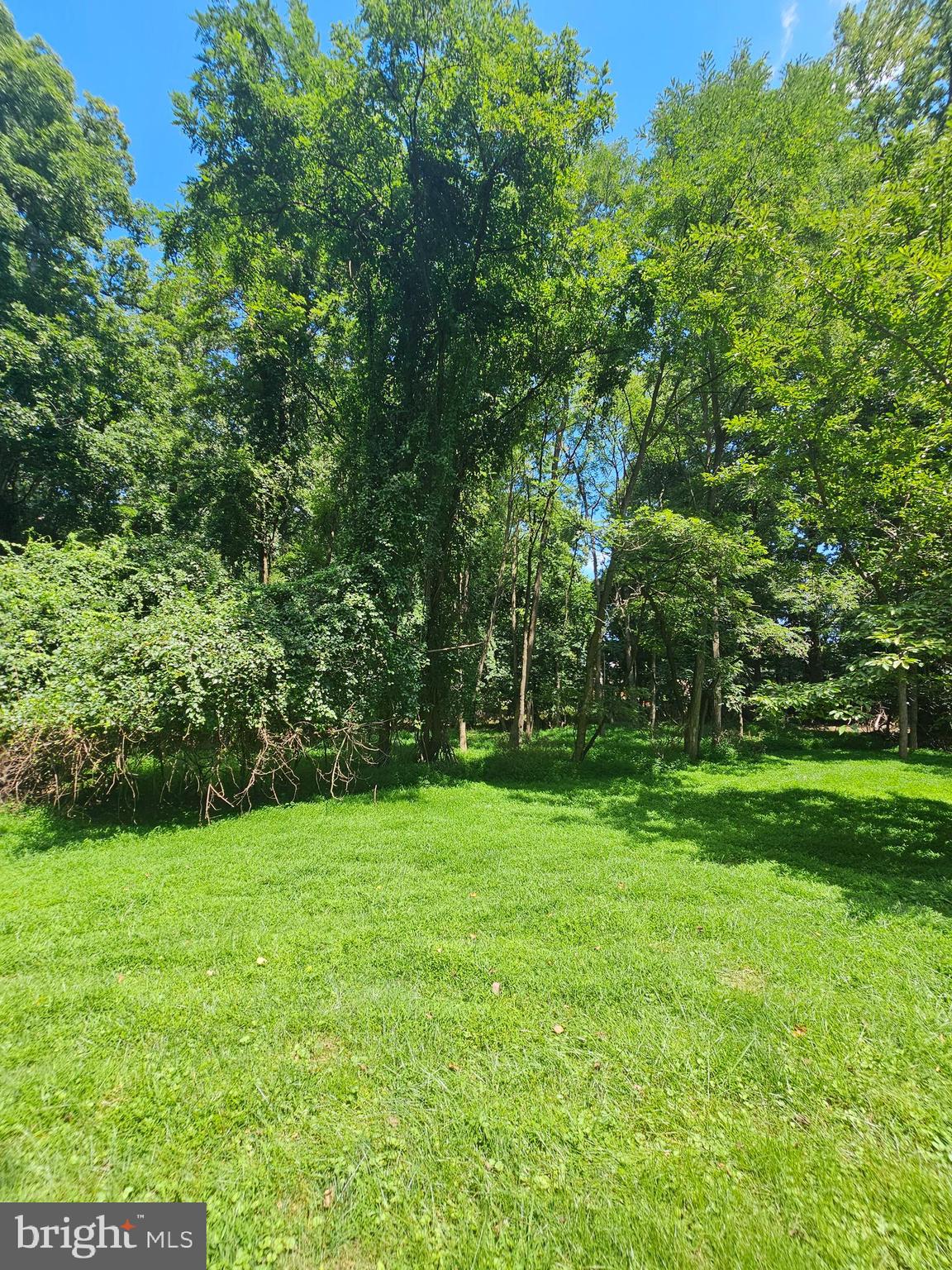 Good Hope Road Silver Spring, MD 20905 - Photo 3 of 8 Gallery Image 3