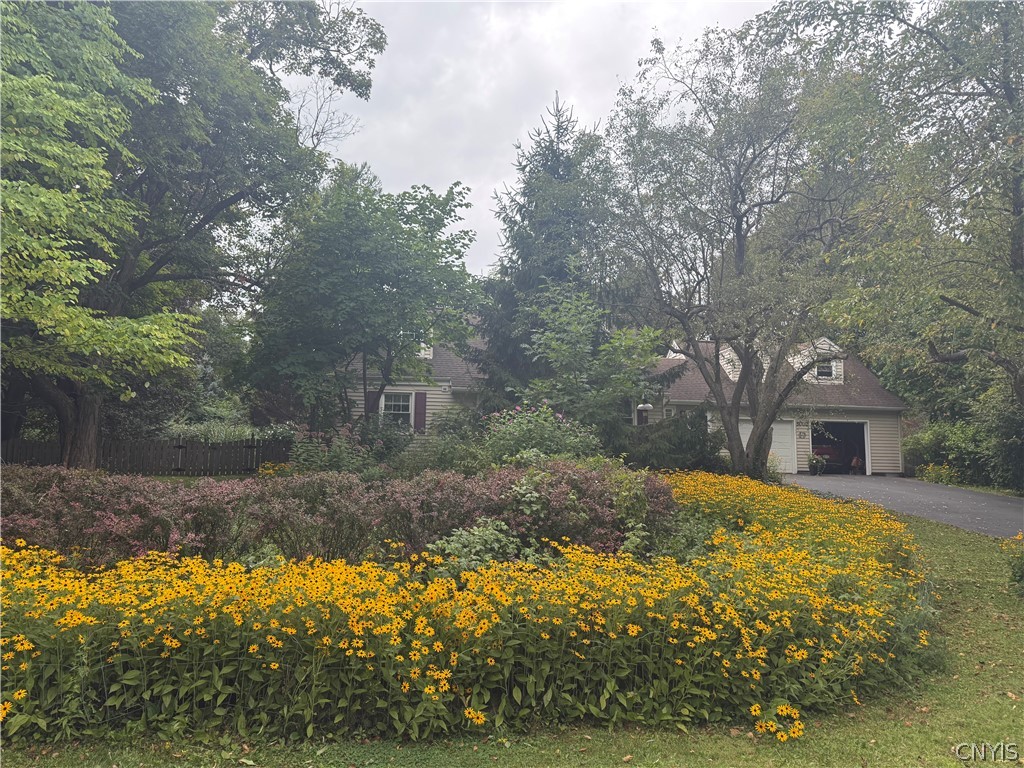 5002 Woodside Road De Witt, NY 13066 - Photo 8 of 50