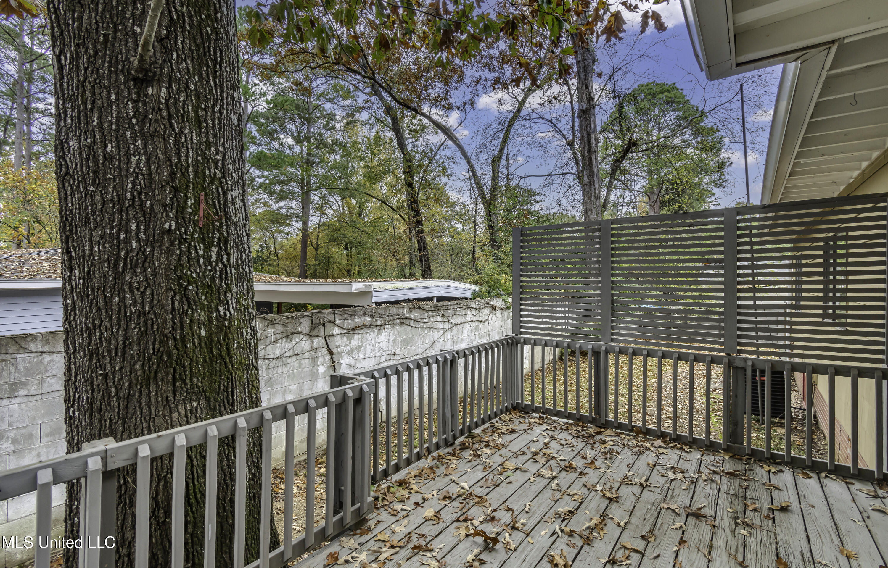 4407 Forest Park Drive Jackson, MS 39211 - Photo 58 of 60 4407 Forest Park Ave--16