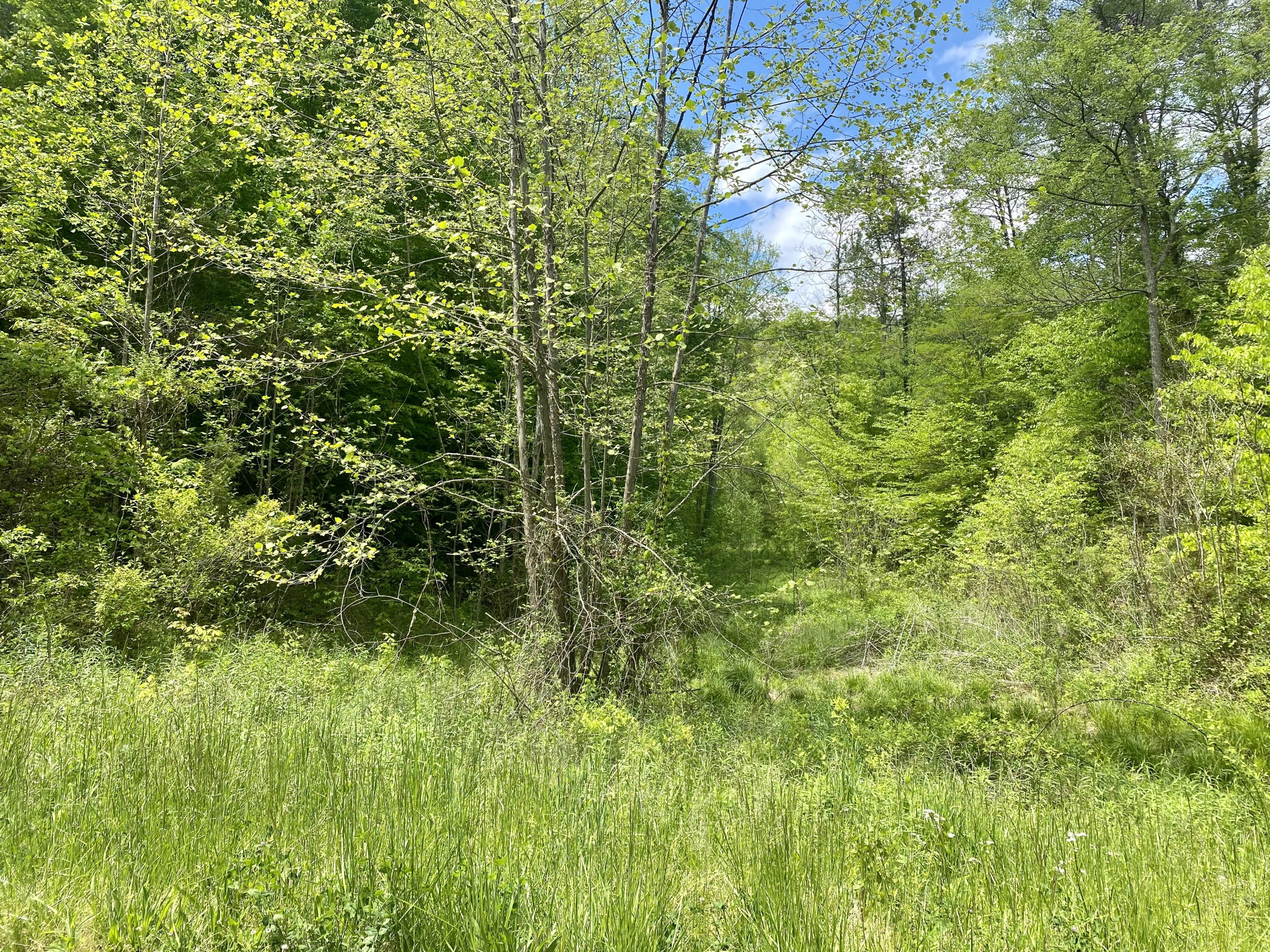 BD0836C8-49E4-4A1E-9474-23F971CA9024