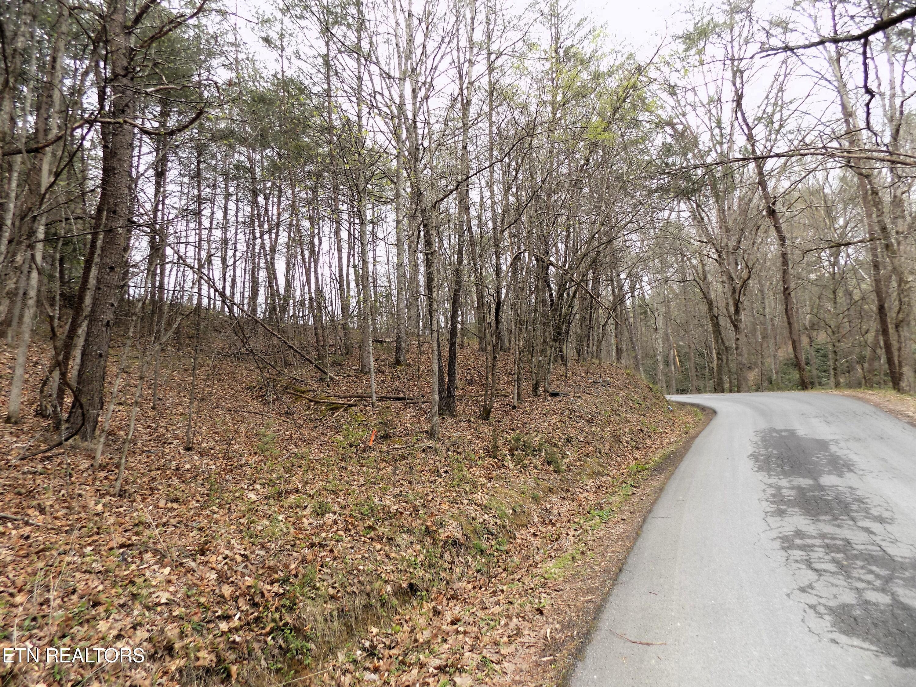 Lot 61 Deerfoot Road Cosby, TN 37722 - Photo 1 of 8 01