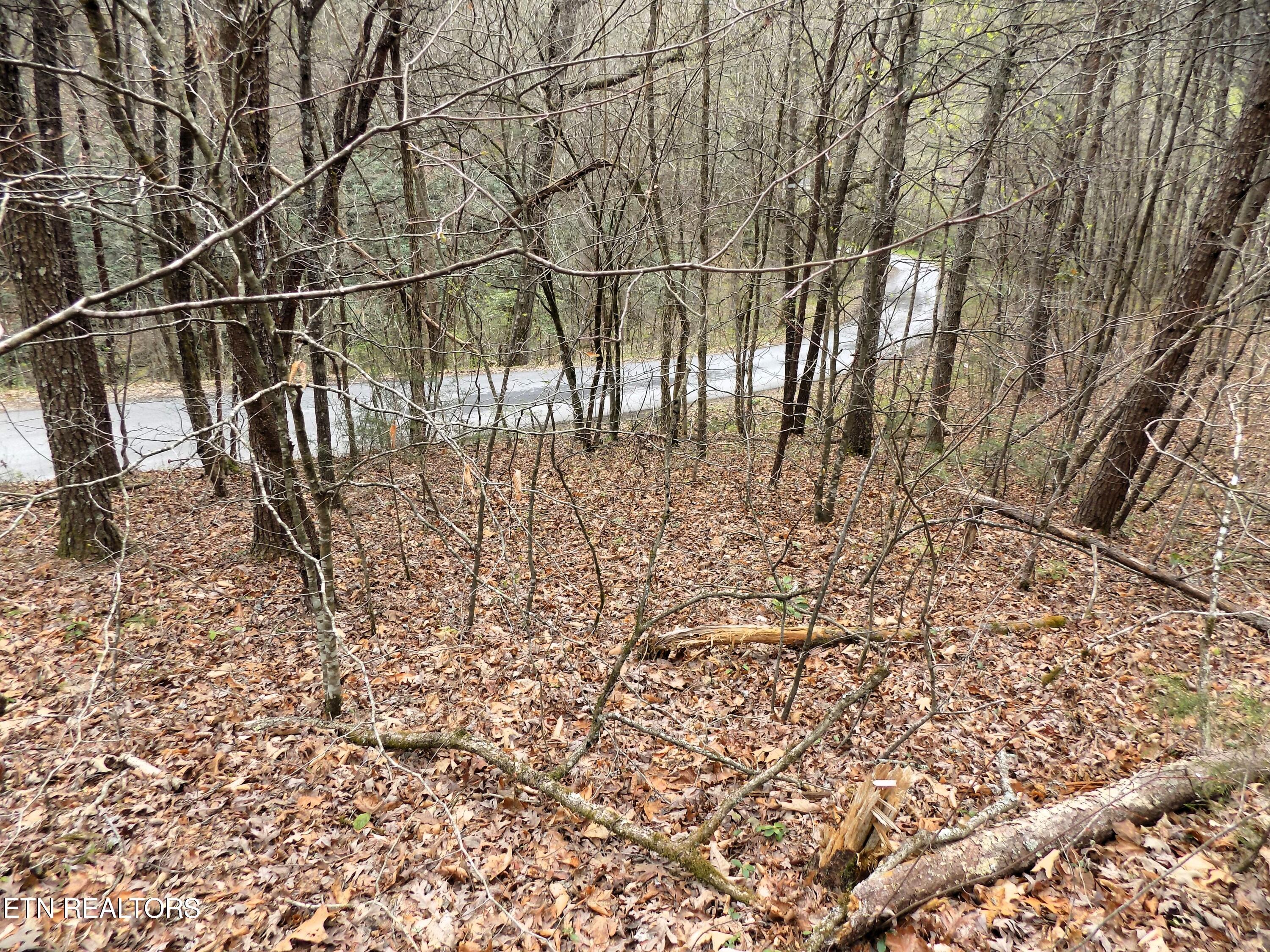 Lot 61 Deerfoot Road Cosby, TN 37722 - Photo 3 of 8 03