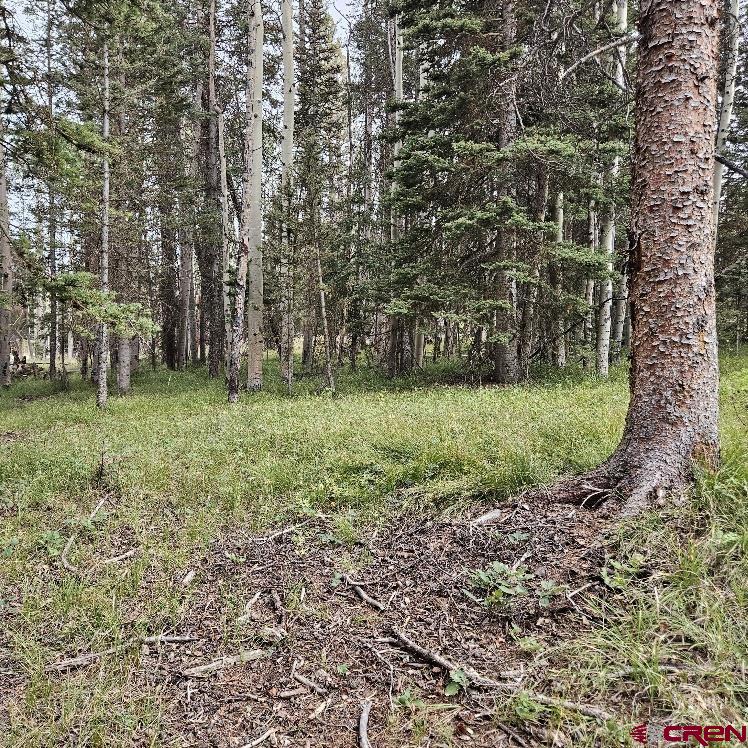 620 Balsam Road Cimarron, CO 81220 - Photo 8 of 14 Gallery Image 8