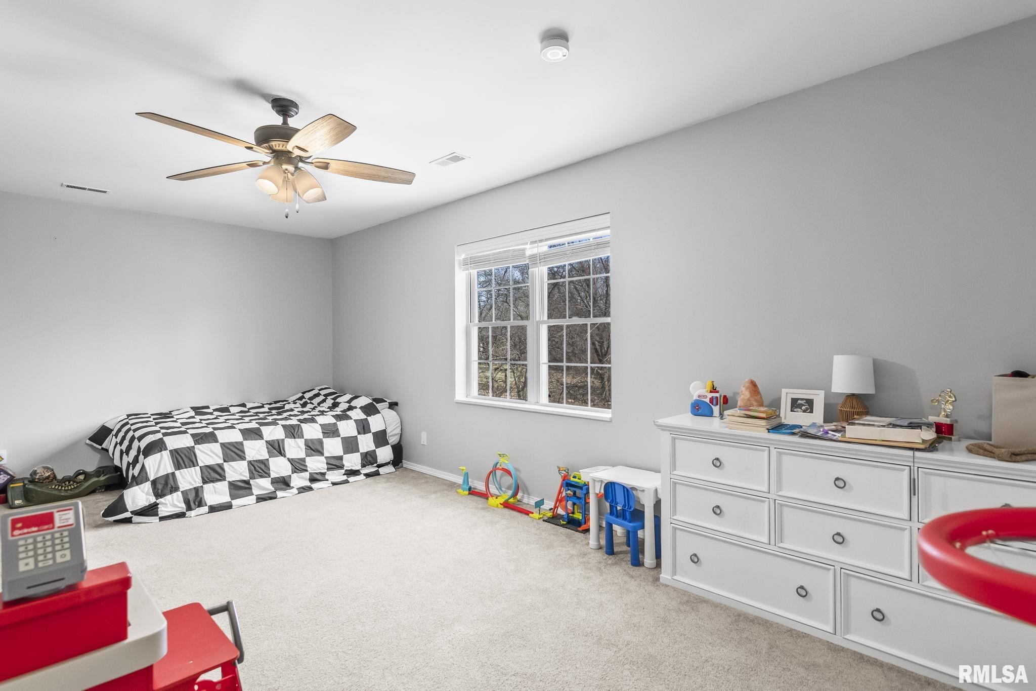 300 North Walnut Street Rochester, IL 62563 - Photo 22 of 31