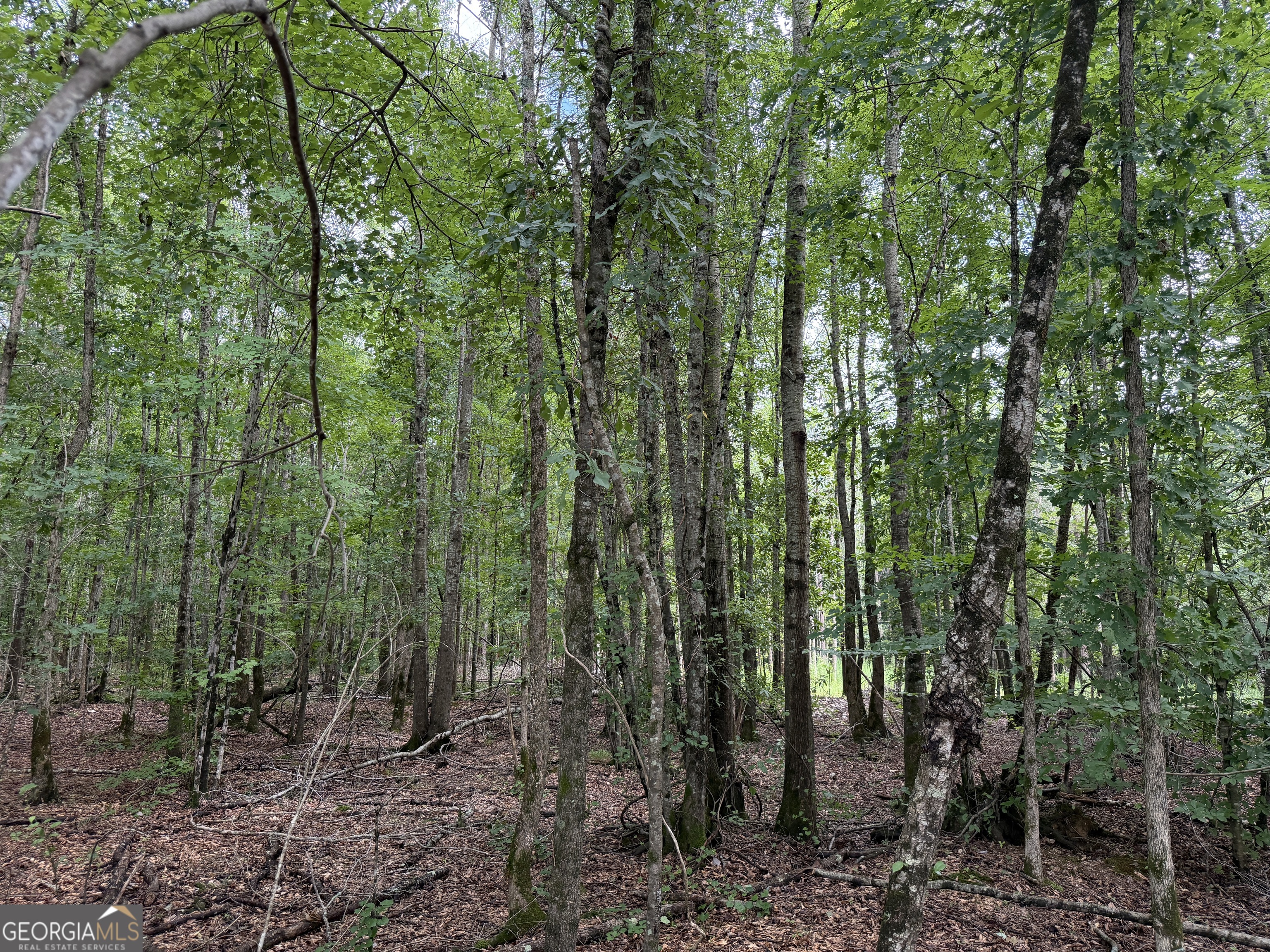 4 County Rd 445 Haleyville, AL 35565 - Photo 6 of 11