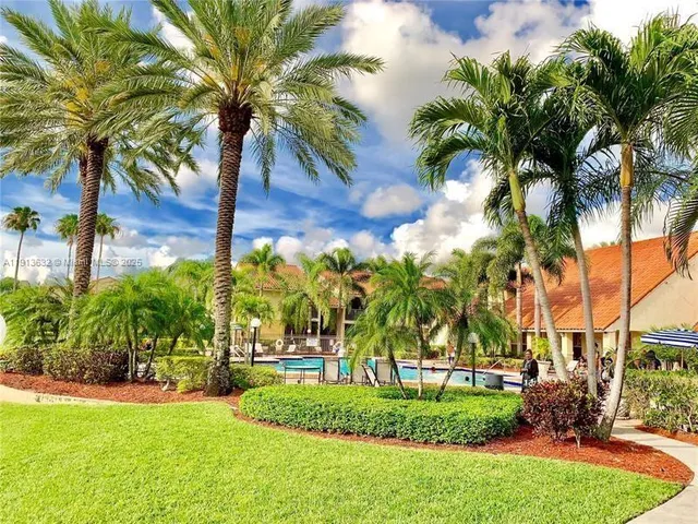 a view of a yard and palm trees
