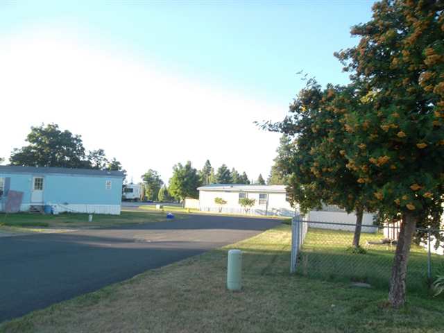 3920 East Center Road, Unit 11 Mead, WA 99021 - Photo 7 of 8