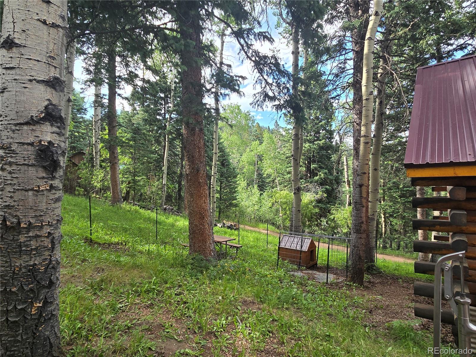 9626 Highway 165 Rye, CO 81069 - Photo 20 of 27 a backyard of a house with lots of green space