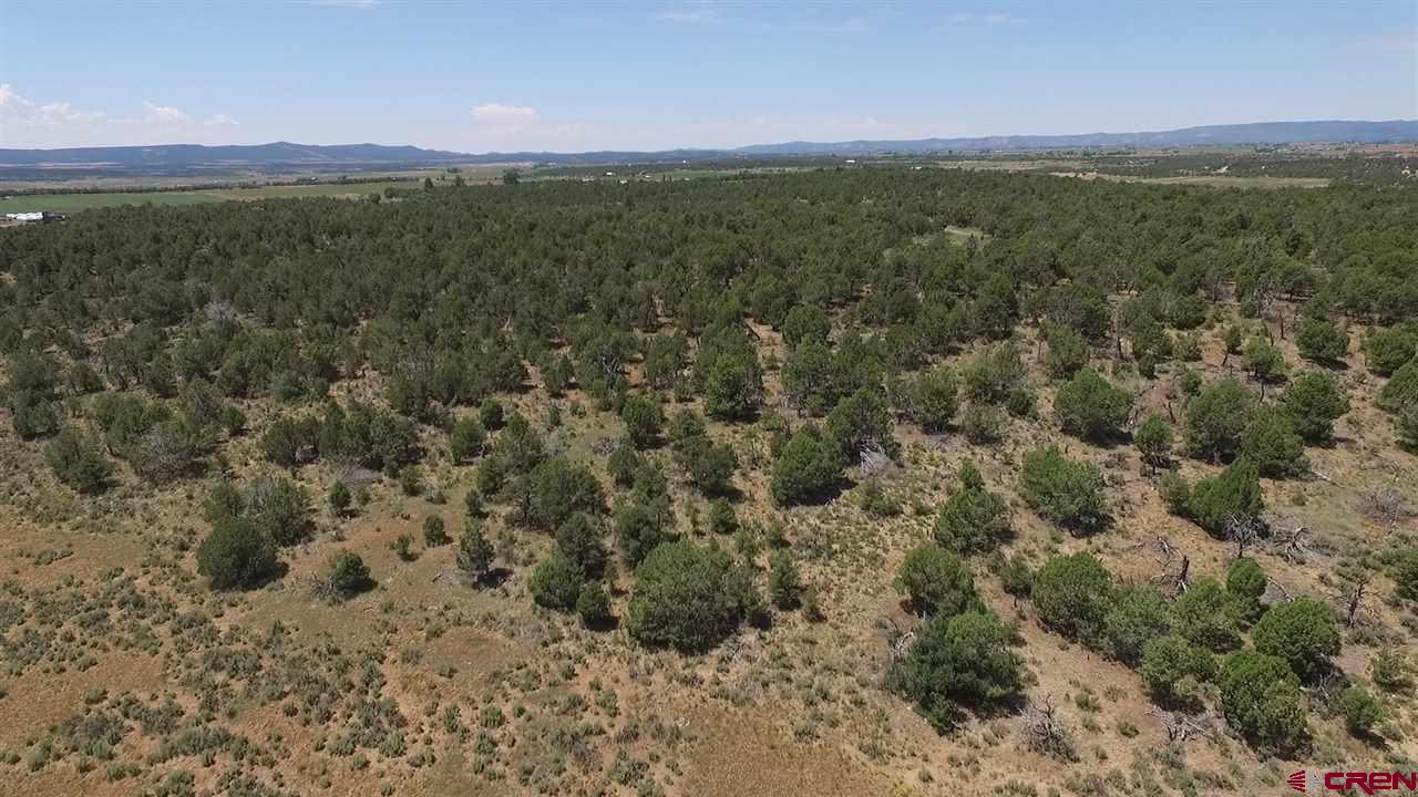 3805 County Road 510 Durango, CO 81303 - Photo 16 of 19 a view of a field with trees in the background