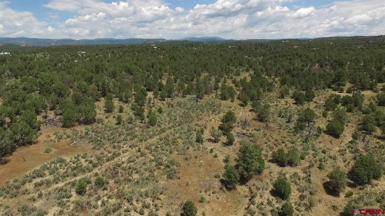3805 County Road 510 Durango, CO 81303 - Photo 3 of 19 a view of a field with an outdoor space