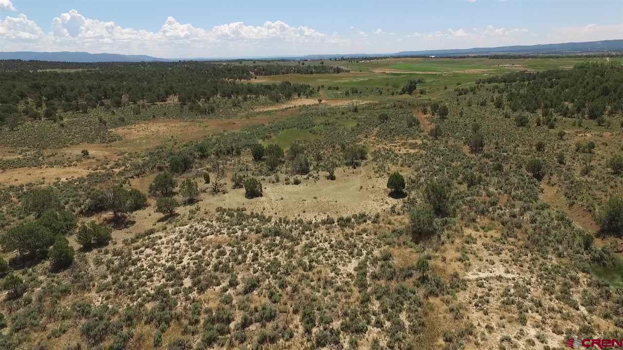 3805 County Road 510 Durango, CO 81303 - Photo 6 of 19 a view of a lake with a mountain