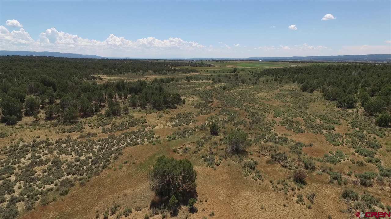 3805 County Road 510 Durango, CO 81303 - Photo 7 of 19 a view of lake with green space