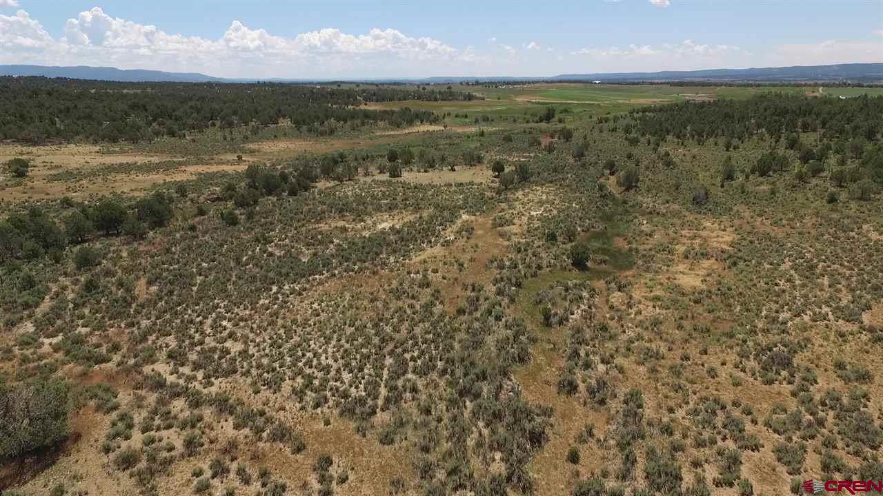 3805 County Road 510 Durango, CO 81303 - Photo 8 of 19 a view of lake with mountain