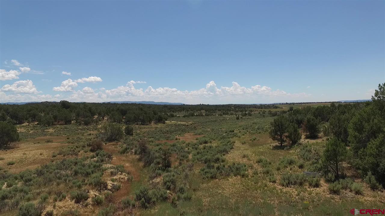 3805 County Road 510 Durango, CO 81303 - Photo 9 of 19 a view of a lake in middle of the forest