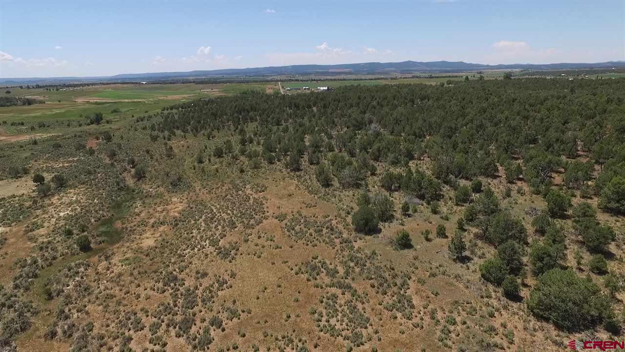 3805 County Road 510 Durango, CO 81303 - Photo 10 of 19 a view of a field with an ocean