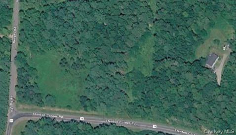 Devany Road Ferndale, NY 12734 - Photo 2 of 3 a view of a forest with a street