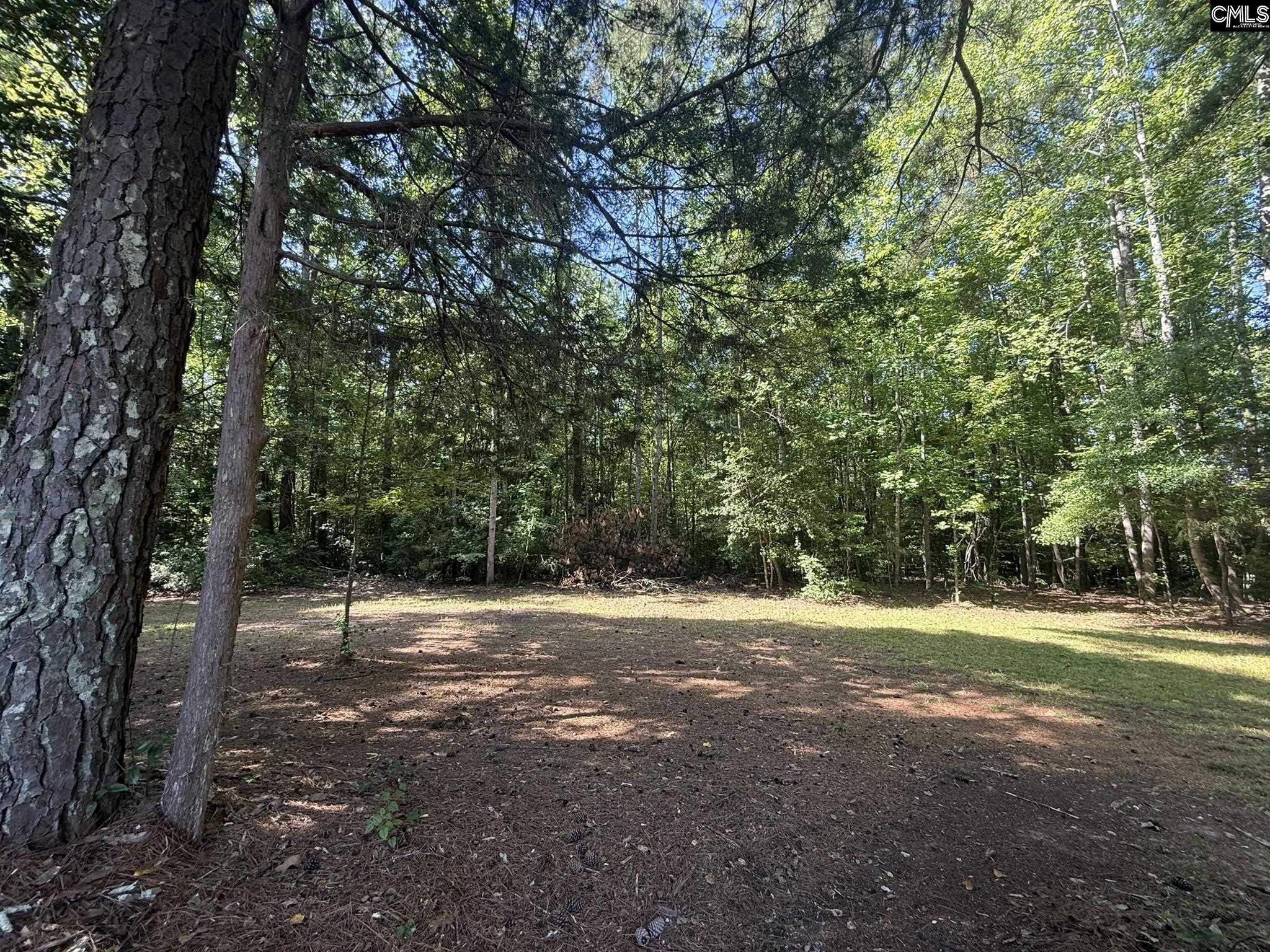 12541 Broad River Road Little Mountain, SC 29075 - Photo 17 of 17