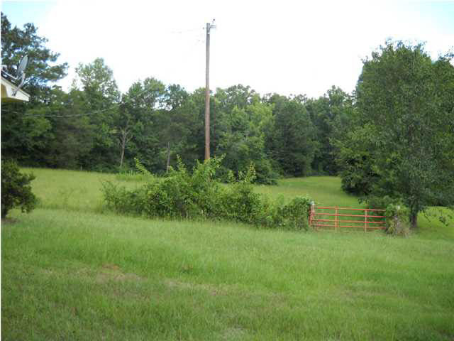 914 New Hope Road Magee, MS 39111 - Photo 2 of 7 Photo 2
