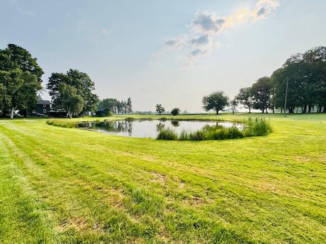 10035 Irish Road Vermontville, MI 49096 - Photo 10 of 53