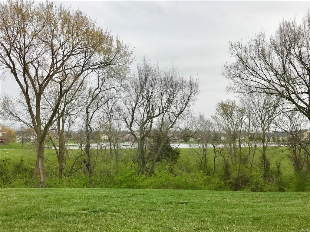 302 Independence Avenue Waterloo, IL 62298 - Photo 25 of 25 Gallery Image 25