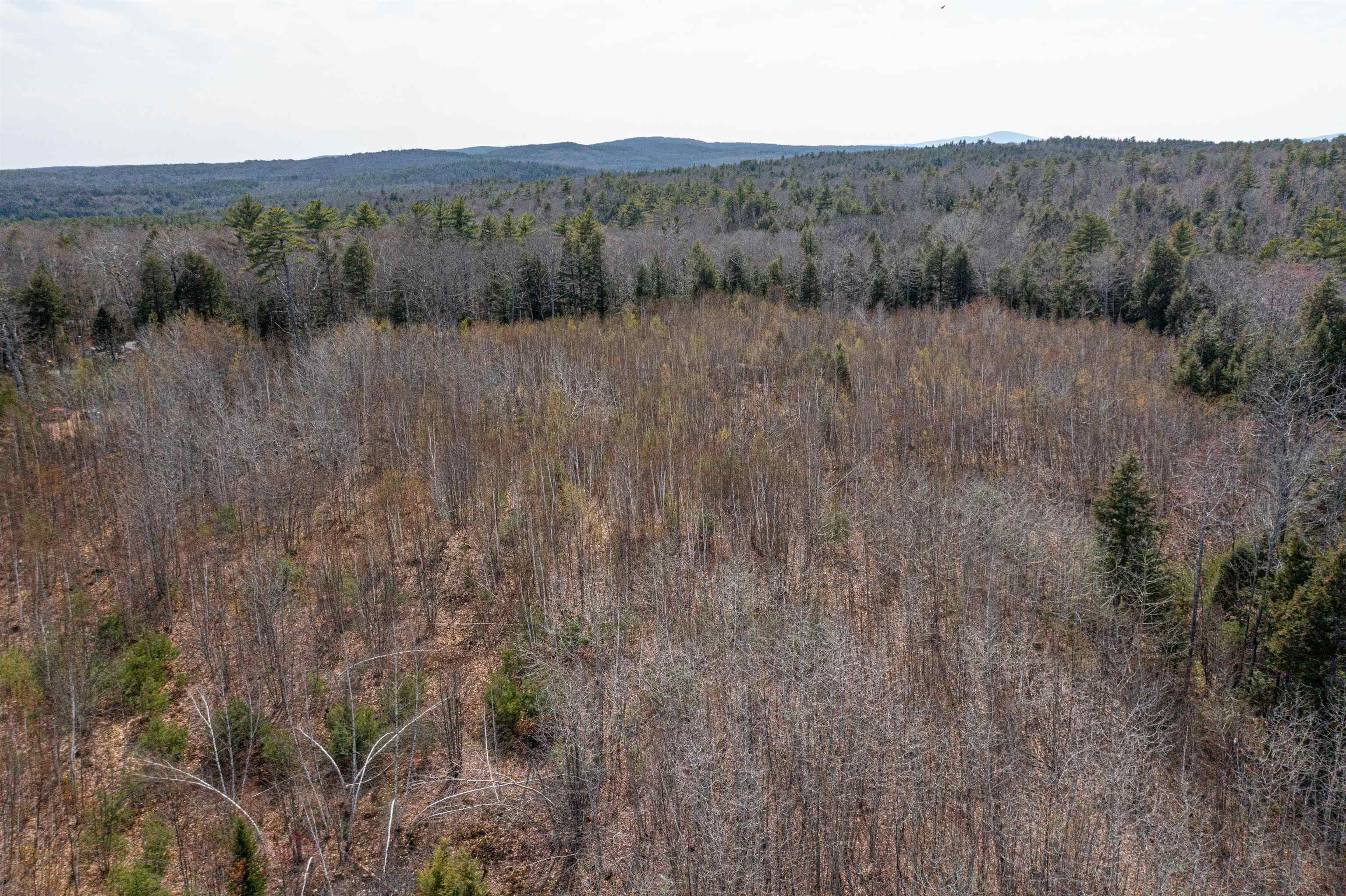 Lot 15 Canaan Road Gilmanton, NH 03237 - Photo 11 of 18 Gallery Image 11