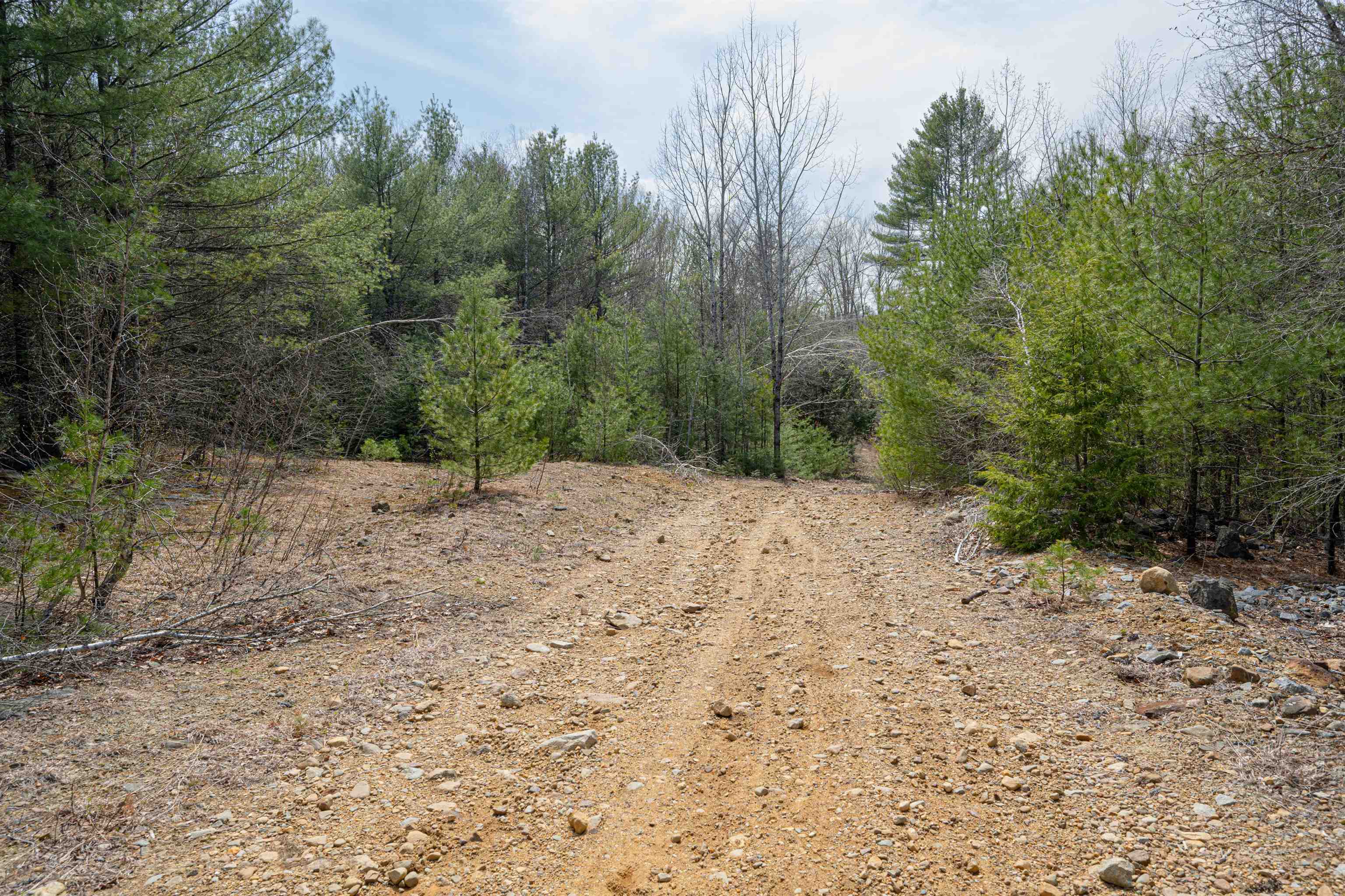 Lot 15 Canaan Road Gilmanton, NH 03237 - Photo 8 of 18 Gallery Image 8
