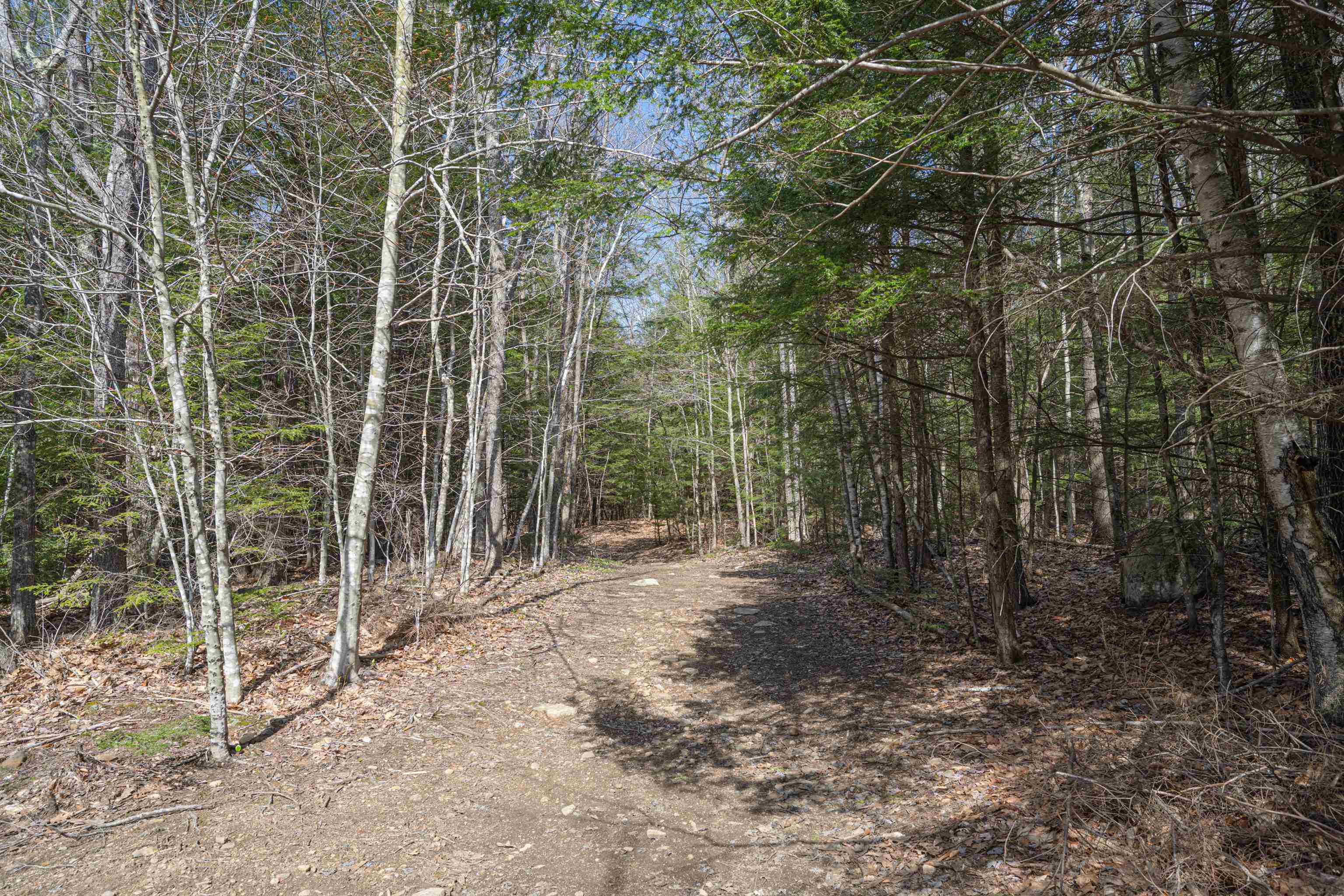 Lot 15 Canaan Road Gilmanton, NH 03237 - Photo 9 of 18 Gallery Image 9