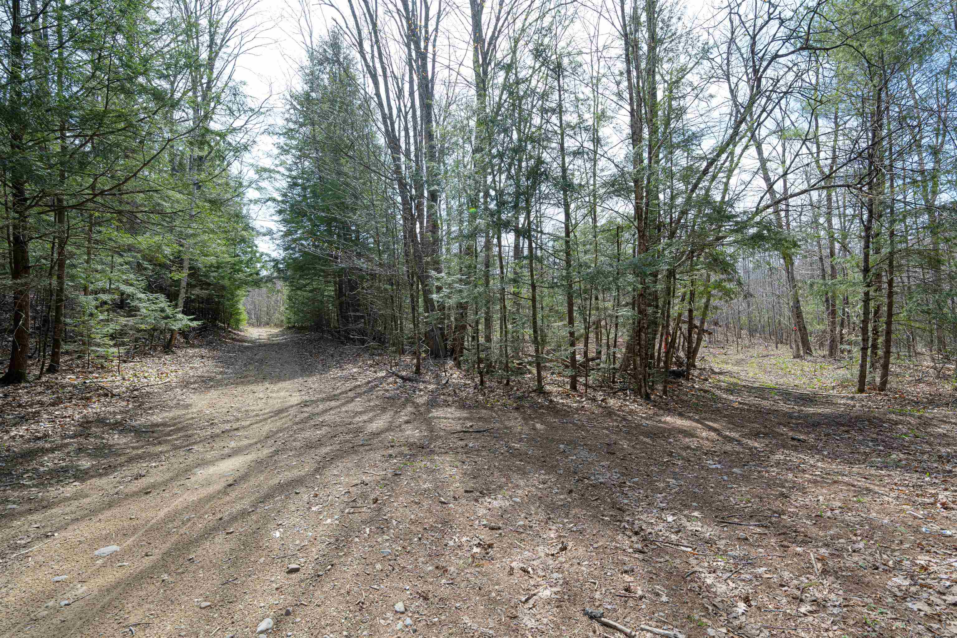 Lot 15 Canaan Road Gilmanton, NH 03237 - Photo 10 of 18 Gallery Image 10