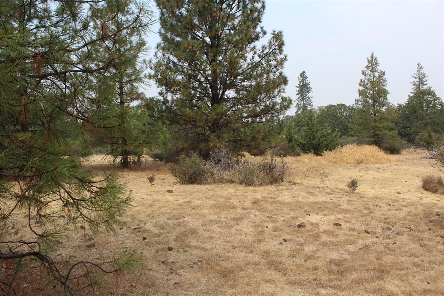5532 Rockydale Road Cave Junction, OR 97523 - Photo 12 of 19 Additional Photo