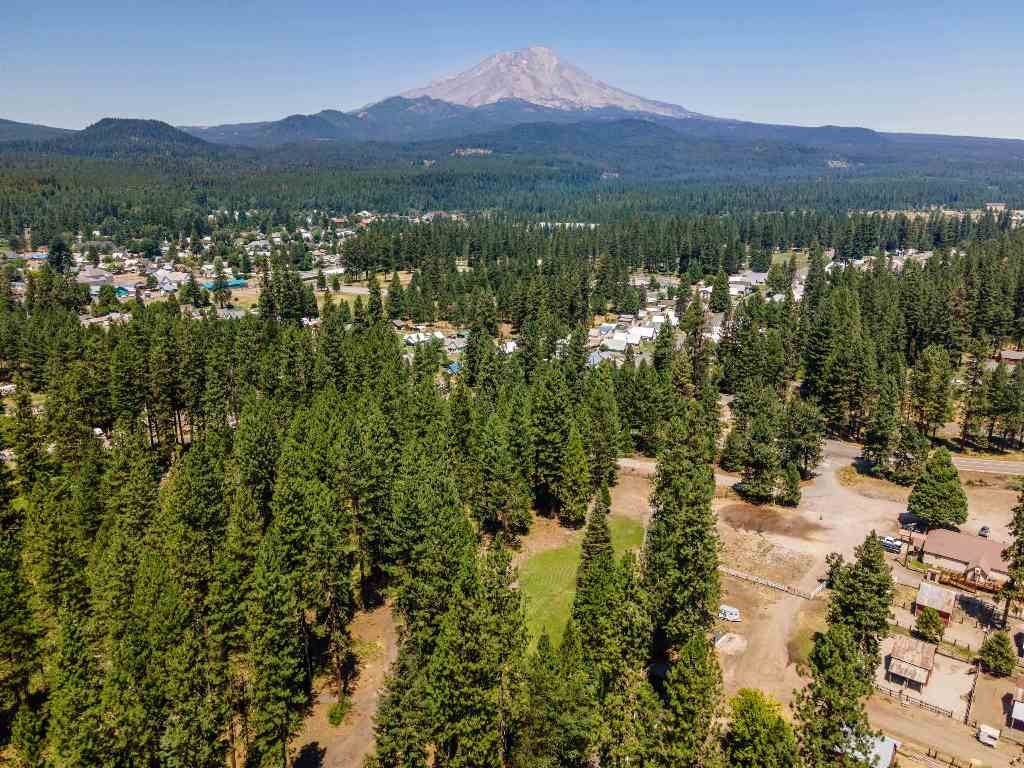 Lot B Red Cloud Ranch Road McCloud, CA 96057 - Photo 7 of 18 Gallery Image 7