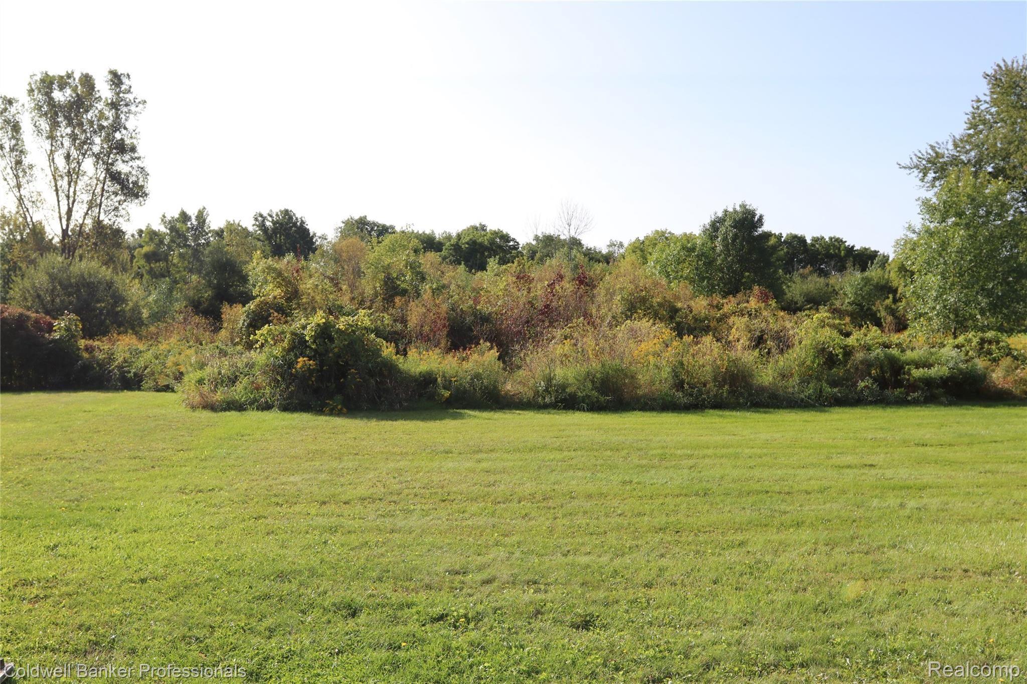 700 West Lansing Road Morrice, MI 48857 - Photo 15 of 18 14 700 back yard.JPG