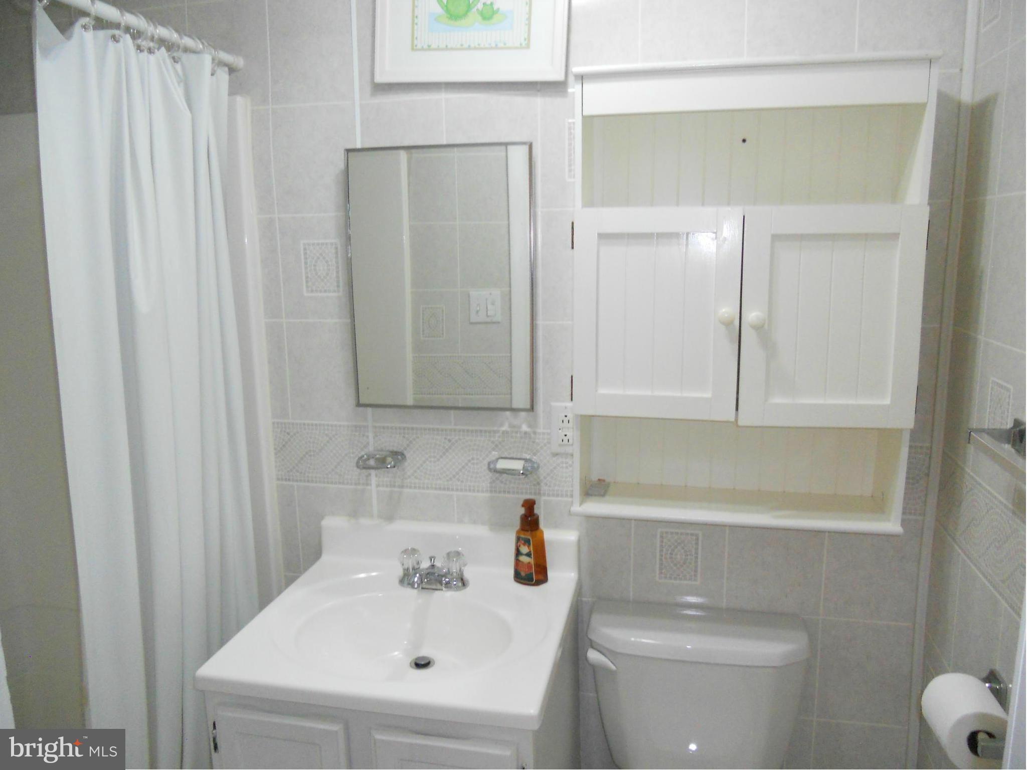 2923 Carrollton Road Finksburg, MD 21048 - Photo 7 of 30 Basement Full Bath